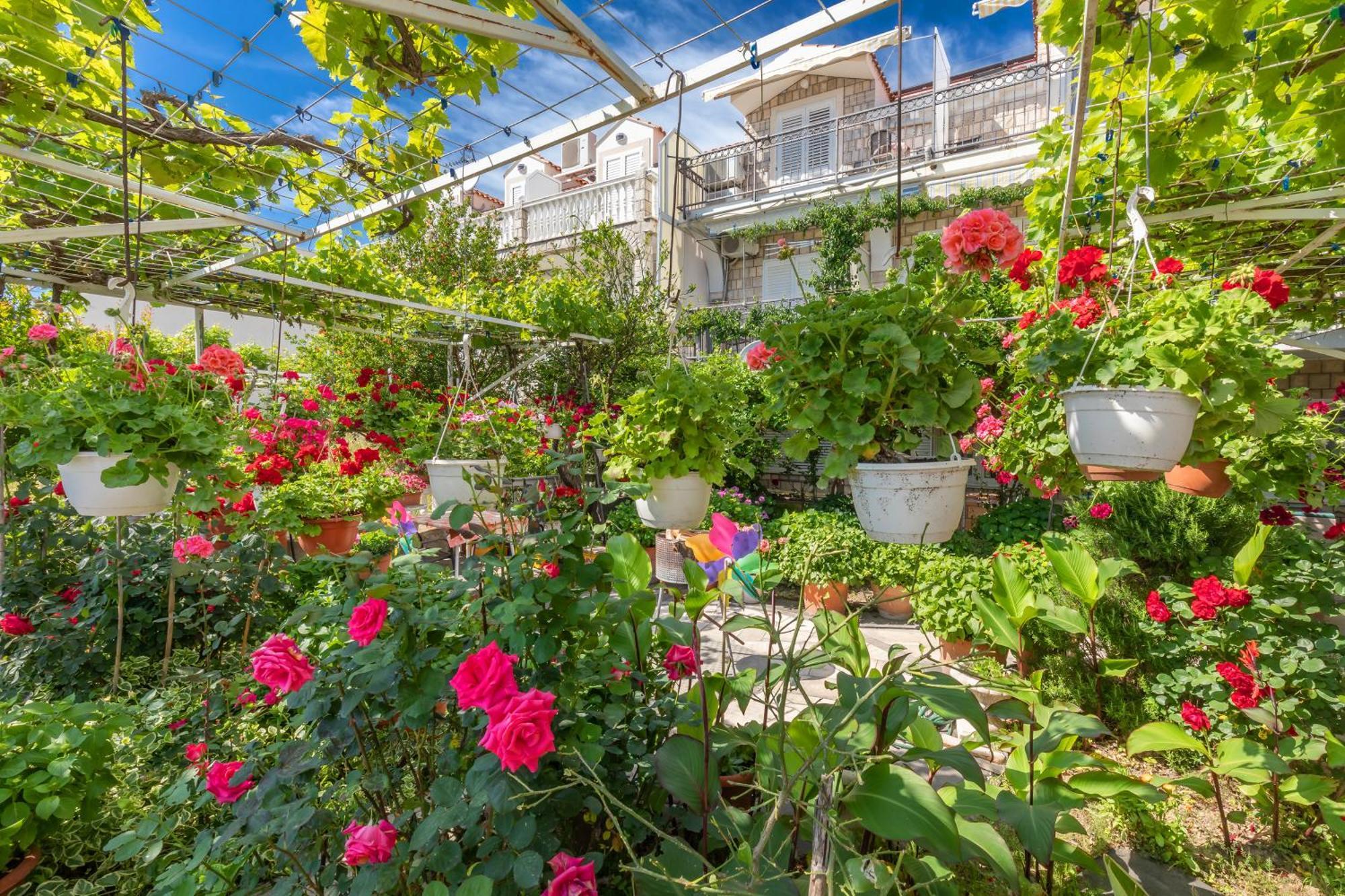 Apartments Galic Mlini Exterior foto