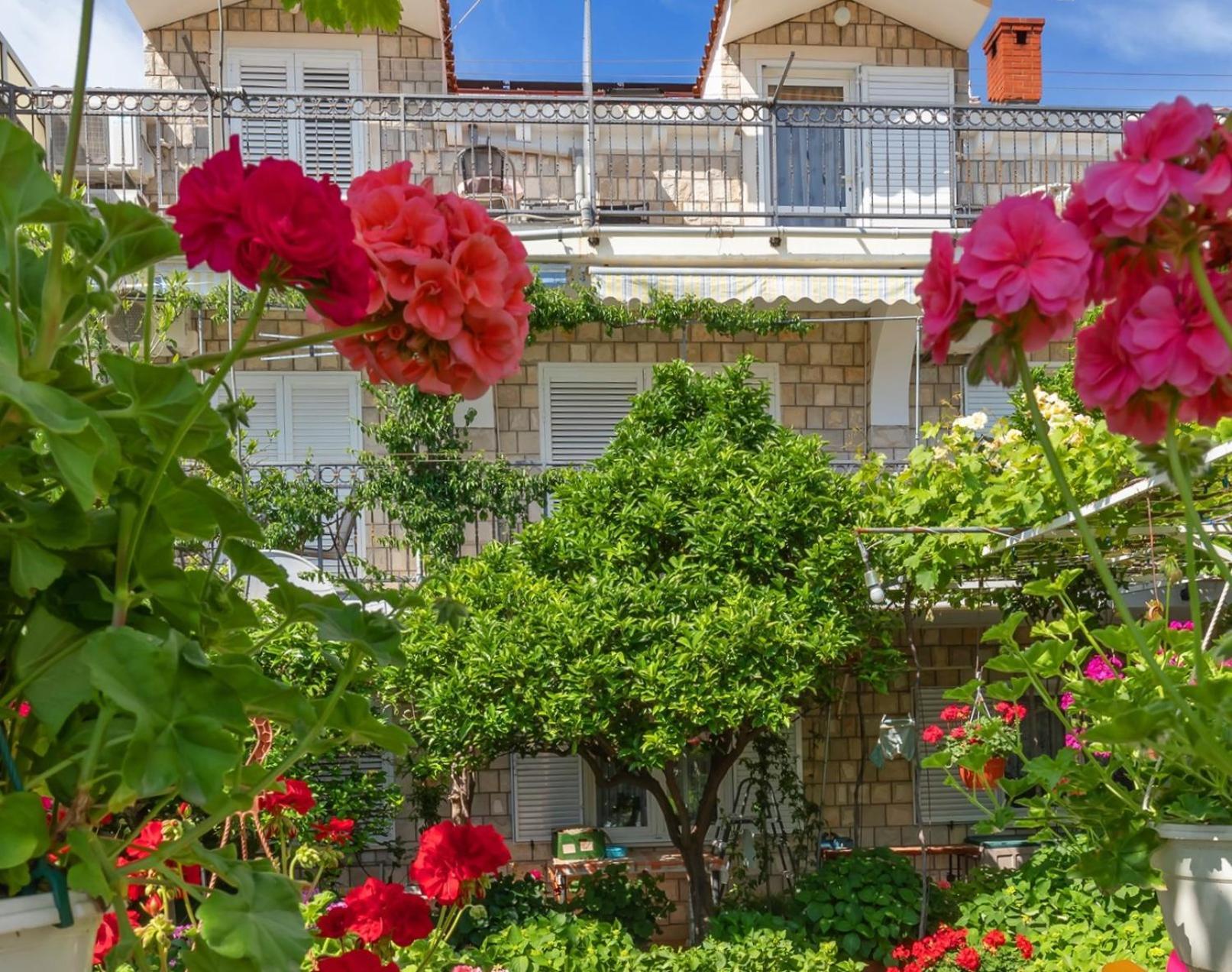 Apartments Galic Mlini Exterior foto